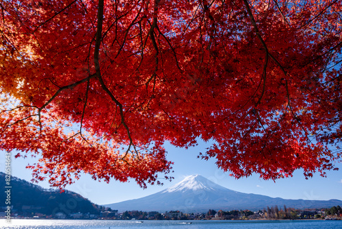 Mount Fuji, the iconic symbol of Japan, during the season of autumn foliage, a period of exceptional beauty.