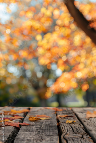 A wooden desk top with blurred background of maple tree with autumn foliage. Good for background 