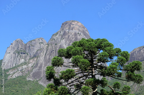 Três Picos State Park.Located in the Serra do Mar, in the mountainous region of the city of Nova Friburgo, in the state of Rio de Janeiro #820518279