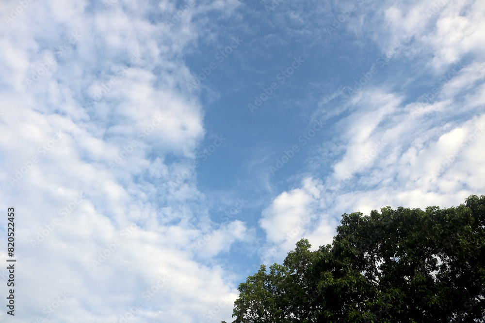 clouds with Calm weather over the water. Ocean with clouds on a background of green trees and blue sky clouds with Calm weather over the water. Ocean with clouds on a background of green trees and blue sky