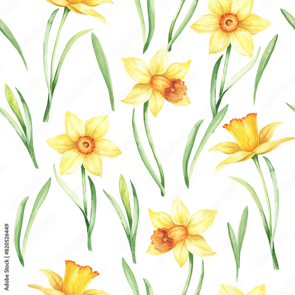 Yellow daffodil botanical seamless pattern, watercolor illustration 