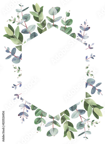 Eucalyptus floral frame photo