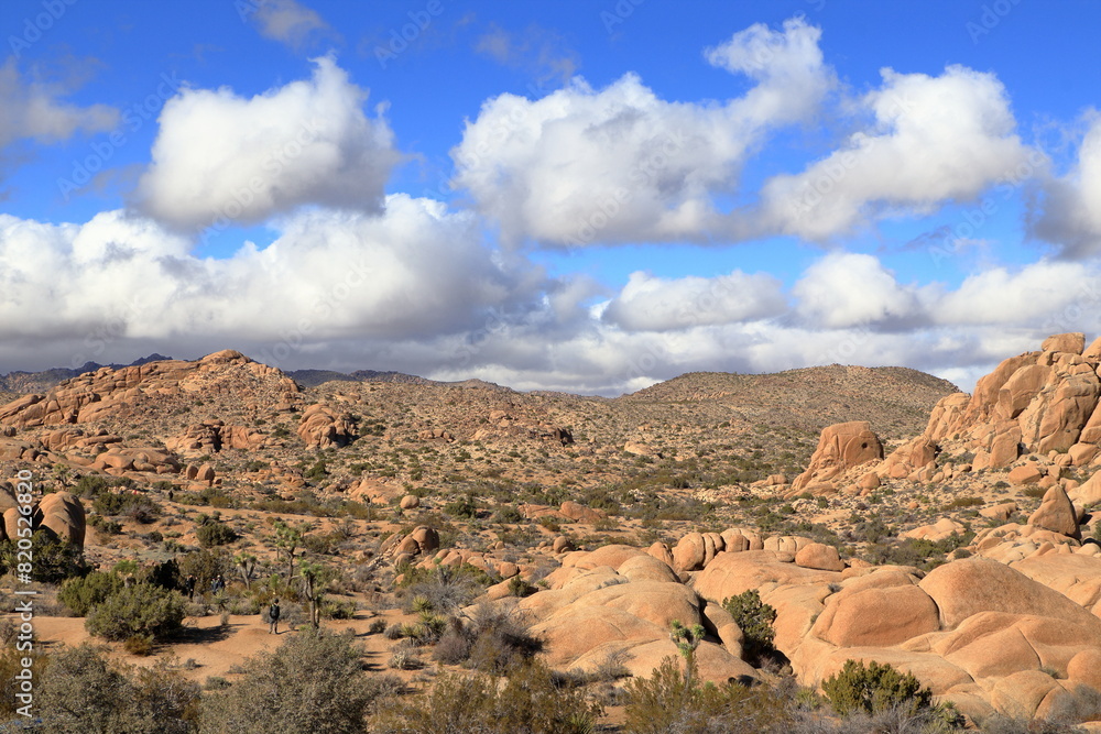 The vast expanse of the Mojave Desert in Joshua Tree National Park, California