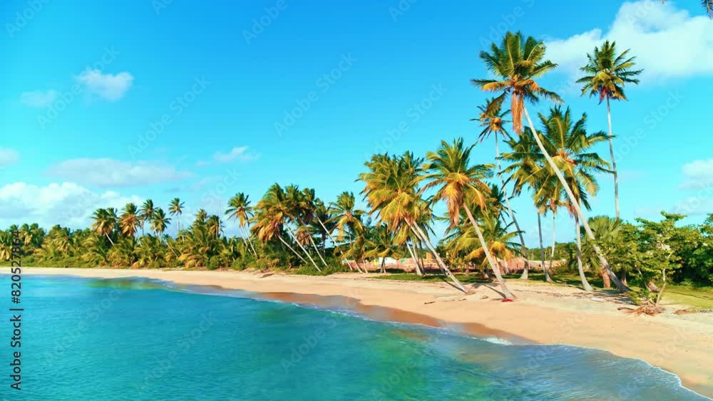 Sunny day on the beach with bright palm trees, sea and blue sky with clouds. Tropical island for travel while on vacation. Caribbean coast with natural landscape. Beautiful postcard with a seascape. Sunny day on the beach with bright palm trees, sea and blue sky with clouds. Tropical island for travel while on vacation. Caribbean coast with natural landscape. Beautiful postcard with a seascape.