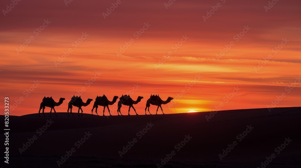 Group of Camels Walking Across Desert at Sunset Group of Camels Walking Across Desert at Sunset