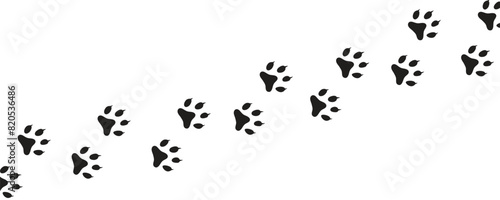 Dog or cat paw print set. Paw foot trail print of animal.