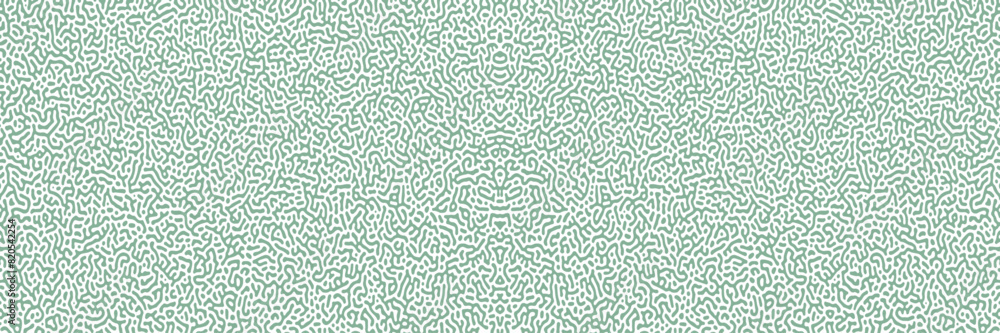 Multiscale turing pattern. Vector illustration of chemical morphogenesis concept. Curvy doodle labyrinth. Turing reaction diffusion monochrome seamless pattern with directional motion. Vector 