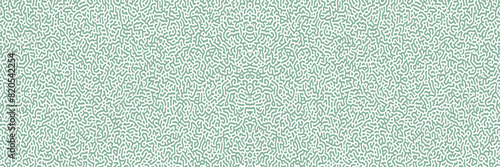 Multiscale turing pattern. Vector illustration of chemical morphogenesis concept. Curvy doodle labyrinth. Turing reaction diffusion monochrome seamless pattern with directional motion. Vector 