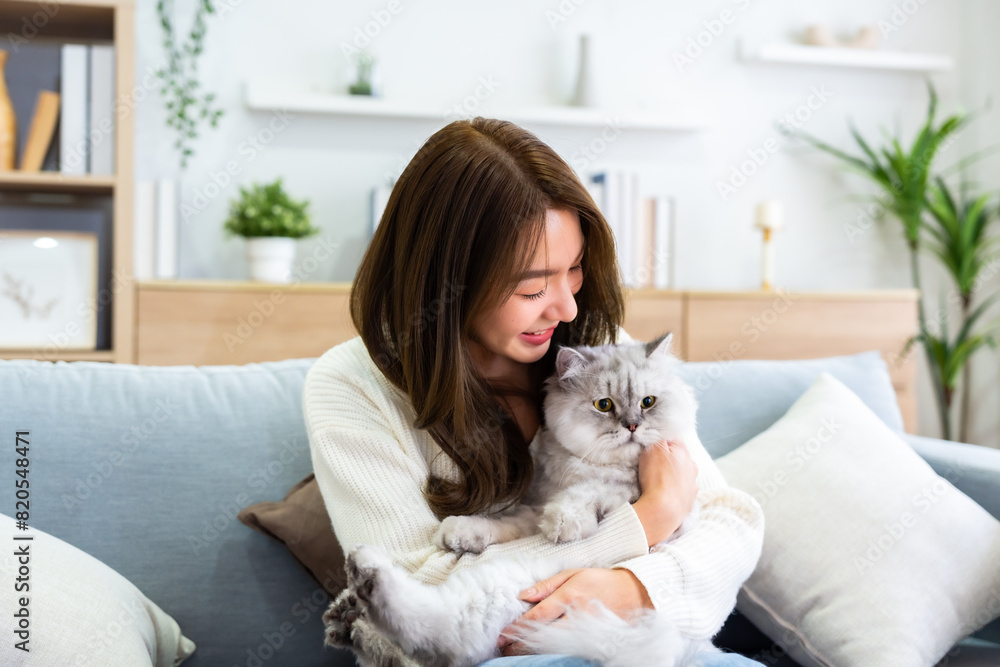 Portrait of young Asian woman holding cute cat. Female hugging her cute long hair kitty. Adorable pet concept Portrait of young Asian woman holding cute cat. Female hugging her cute long hair kitty. Adorable pet concept