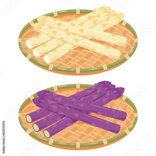 ザルに盛られたホワイトアスパラガスと紫アスパラガスセット