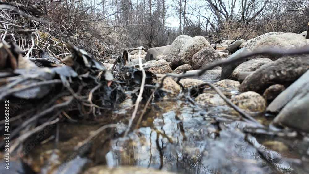 A stream in early spring flows through stones in a gray forest 4k A stream in early spring flows through stones in a gray forest 4k