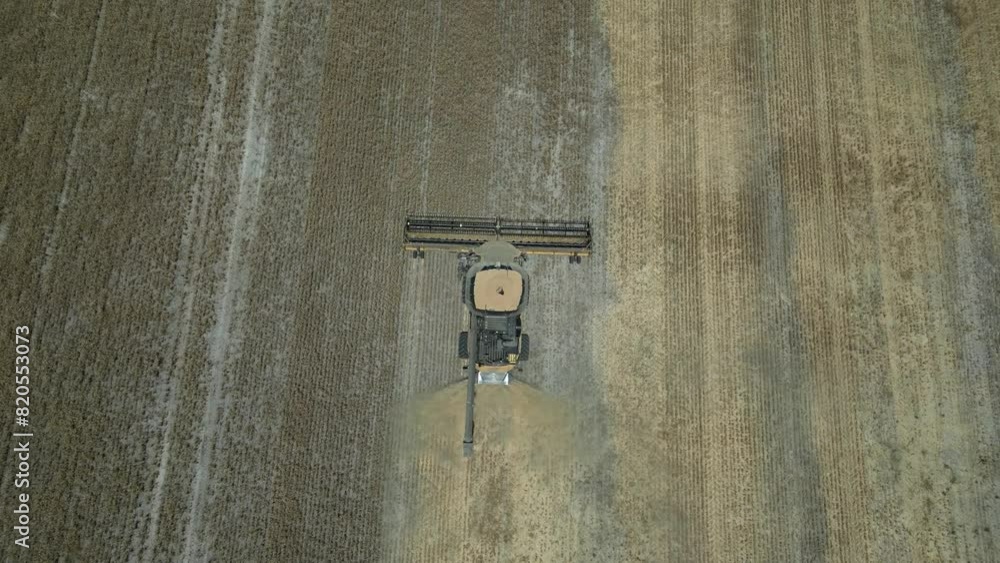 Tractor harvesting grain. Aerial top-down forward Tractor harvesting grain. Aerial top-down forward
