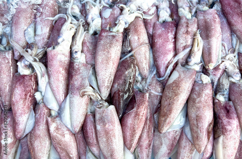 Fresh squid on a market stall