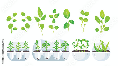 Plant sprouts in eggshell flat vector illustration. G