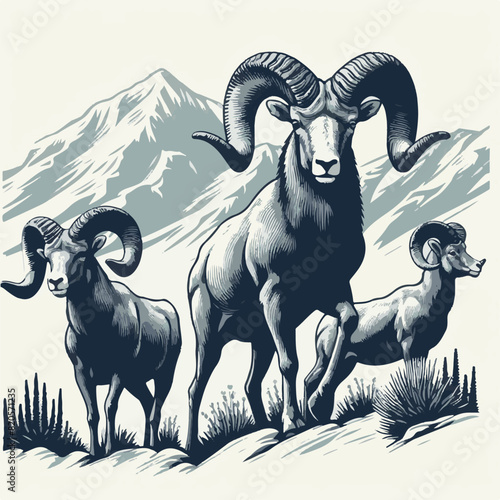 Bighorn sheep Black Vector art White Background Free Download