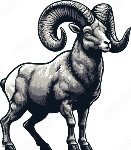 Bighorn sheep Black Vector art White Background Free Download