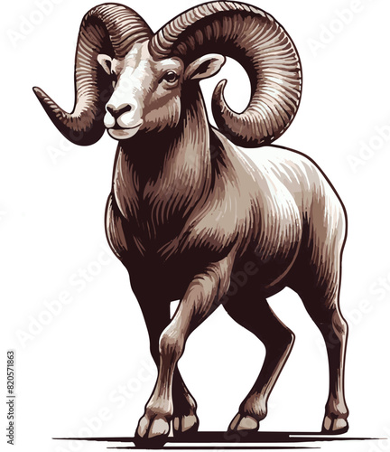Bighorn sheep Black Vector art White Background Free Download