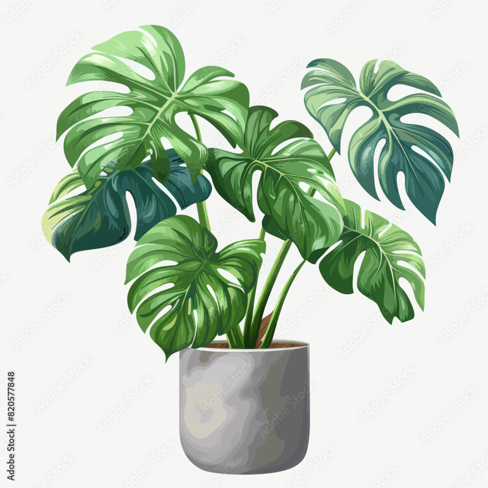 a potted plant with green leaves on a white background