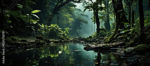 view Tropical forest with jungle river on background green trees