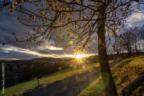 Landschaft mit Baum und Sonnen im Mittelgebirge im Herbst und Winter bei Floh-Seligenthal