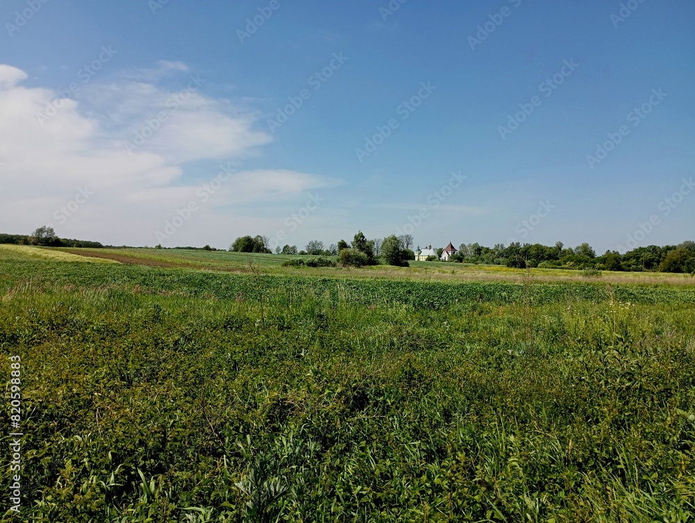 A beautiful field landscape in the summer in the fields on the horizon of which a beautiful rural church can be seen under a clear blue sky that is slightly overcast with white clouds. A beautiful field landscape in the summer in the fields on the horizon of which a beautiful rural church can be seen under a clear blue sky that is slightly overcast with white clouds.
