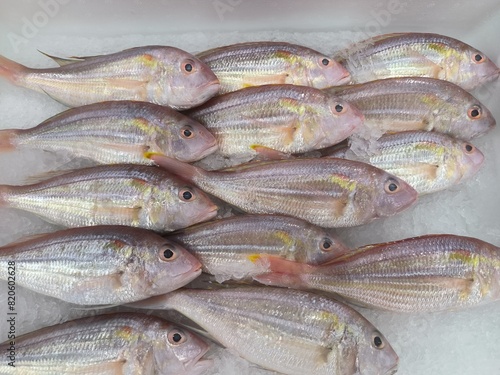 Threadfin Bream , fresh fish on market stall
