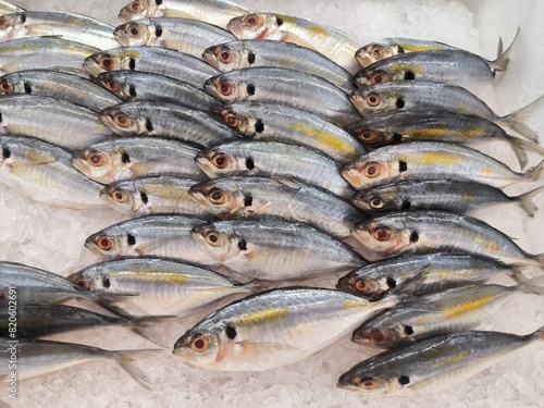 Yellow Stripe Trevally, fresh fish on the market