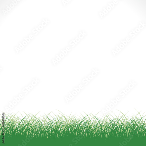 Grass background. Grass field natural pattern. Vector illustration