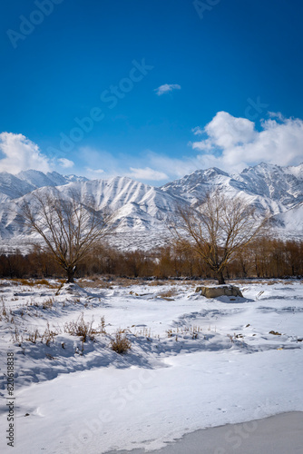 winter landscape with snow © Sidhundev