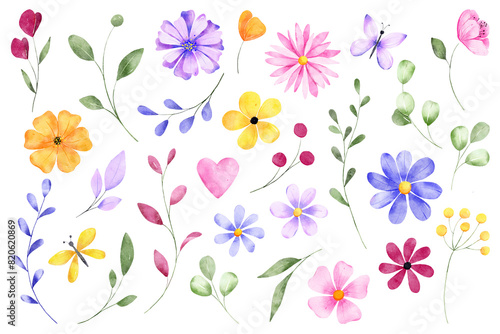 Flowers, leaves and butterflies digital illustration, spring design, watercolor hand painting. Perfectly for printing, sublimation. 