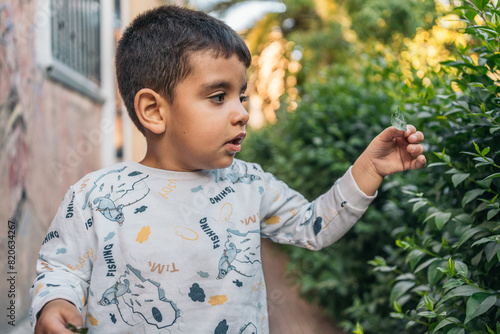 Obraz na plátne Young child in a garden touching leaves with focused expression