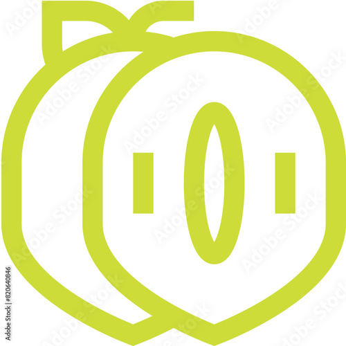 Sapodilla Vector Icon Design Illustration