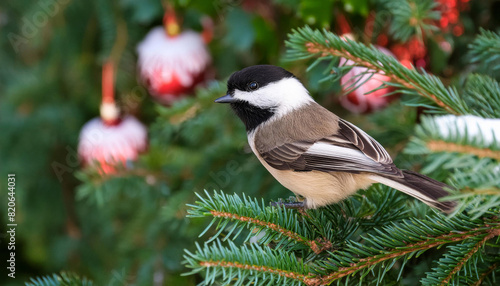Black-capped Chickadee in its natural environment , generated by AI