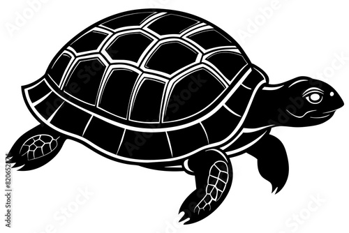 tortoise silhouette black color 