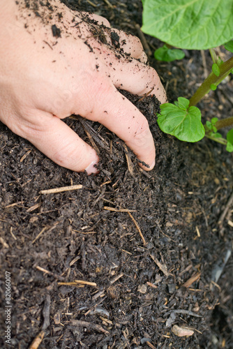Kompost - Gartenarbeit 