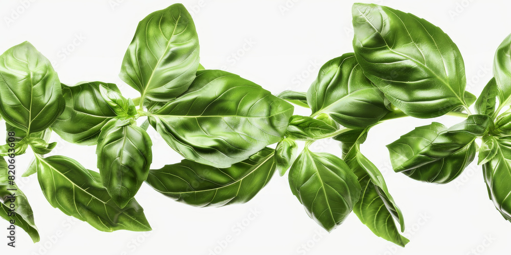 A bunch of green leaves are shown in a row A bunch of green leaves are shown in a row