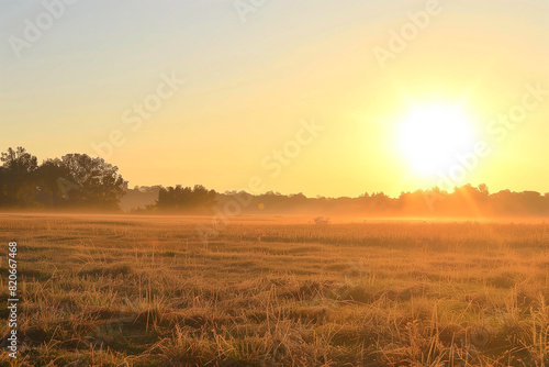 Sunrise Over a Field with Golden Light Illuminating the Natural Landscape