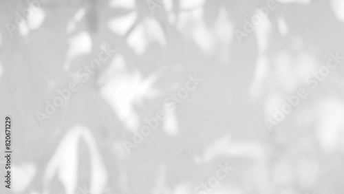 Shadow Background Wall Light White Beige Overlay Abstract Plant 4k Backdrop Mockup Minimal Summer Wallpaper, Blur Nature Spring Autumn Orange Video Vintage Light Branching floral,Card Holidays. photo