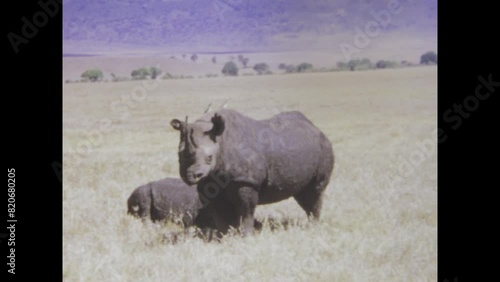 Kenya 1969, African Safari Scenes 1960s photo