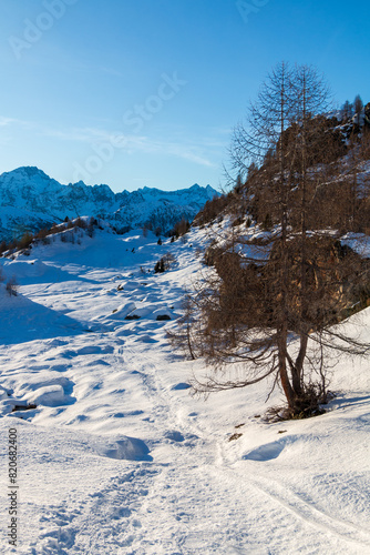snowy alpine landscape on a beautiful sunny day
