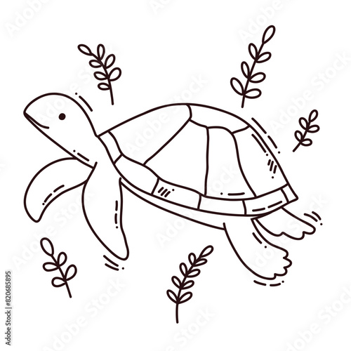 hand drawn vector illustration of turtle