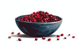 Bowl with dried barberries on white background Vector