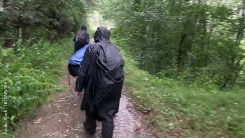Wallpaper Mural People Hiking With Donkey on a Muddy Road on a Heavy Rainy Day Torontodigital.ca