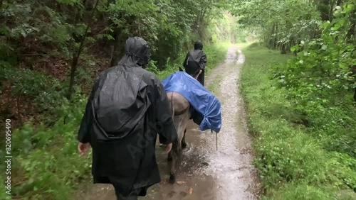 Wallpaper Mural People Hiking With Donkey on a Muddy Road on a Heavy Rainy Day Torontodigital.ca