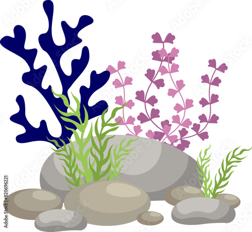 Coral And Seaweed With Rocks Illustration