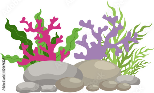 Coral And Seaweed With Rocks Illustration