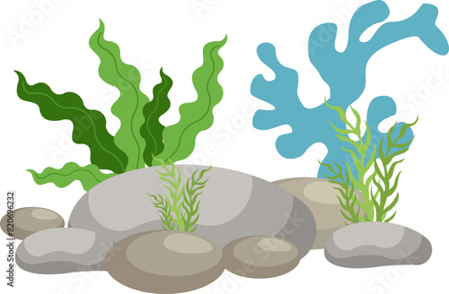 Coral And Seaweed With Rocks Illustration
