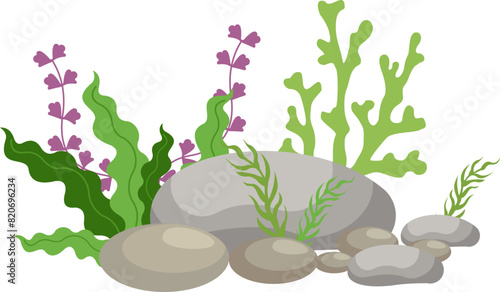 Coral And Seaweed With Rocks Illustration