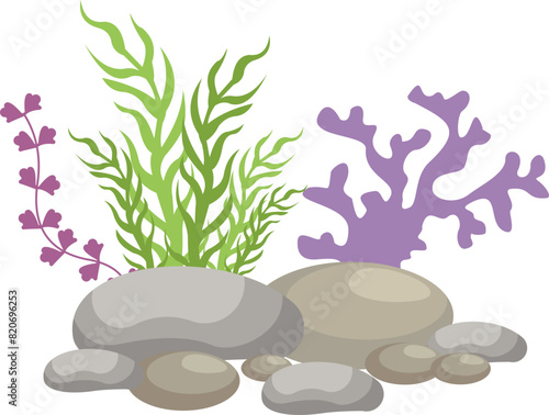 Coral And Seaweed With Rocks Illustration