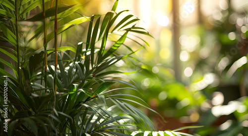 lush green palm leaves